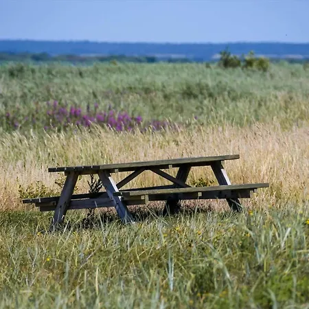 C11266-hemmet-egernvej-10 Hébergement de vacances Hemmet
